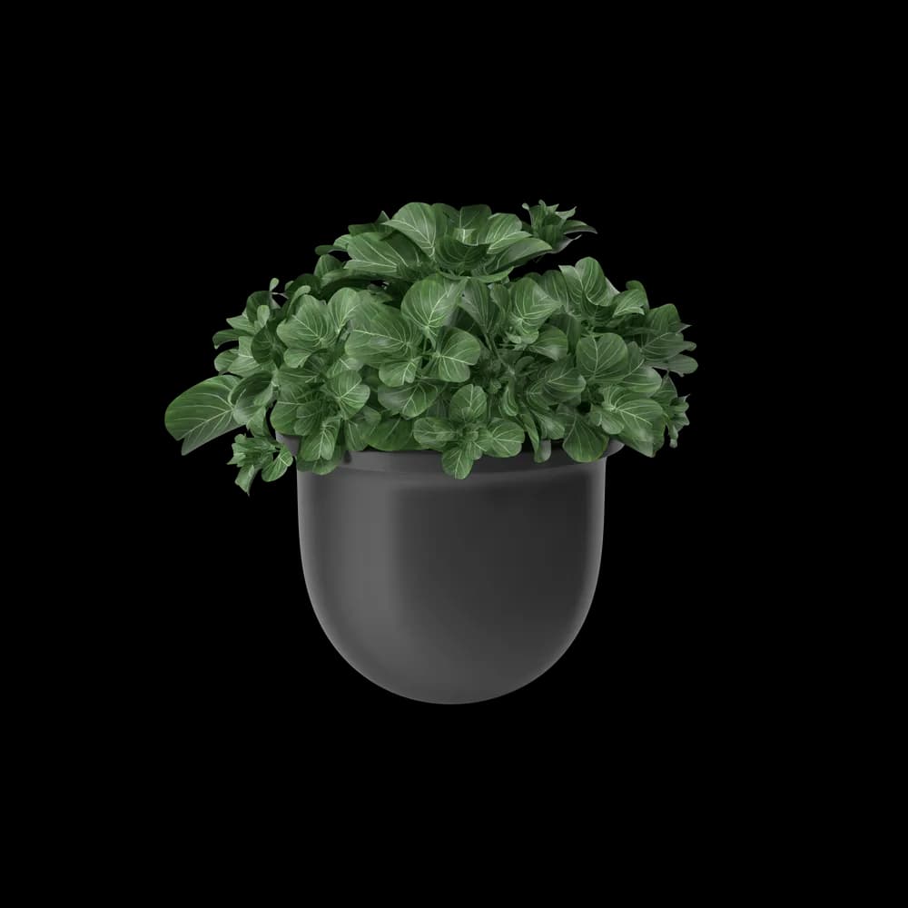 Plant Pot image 1