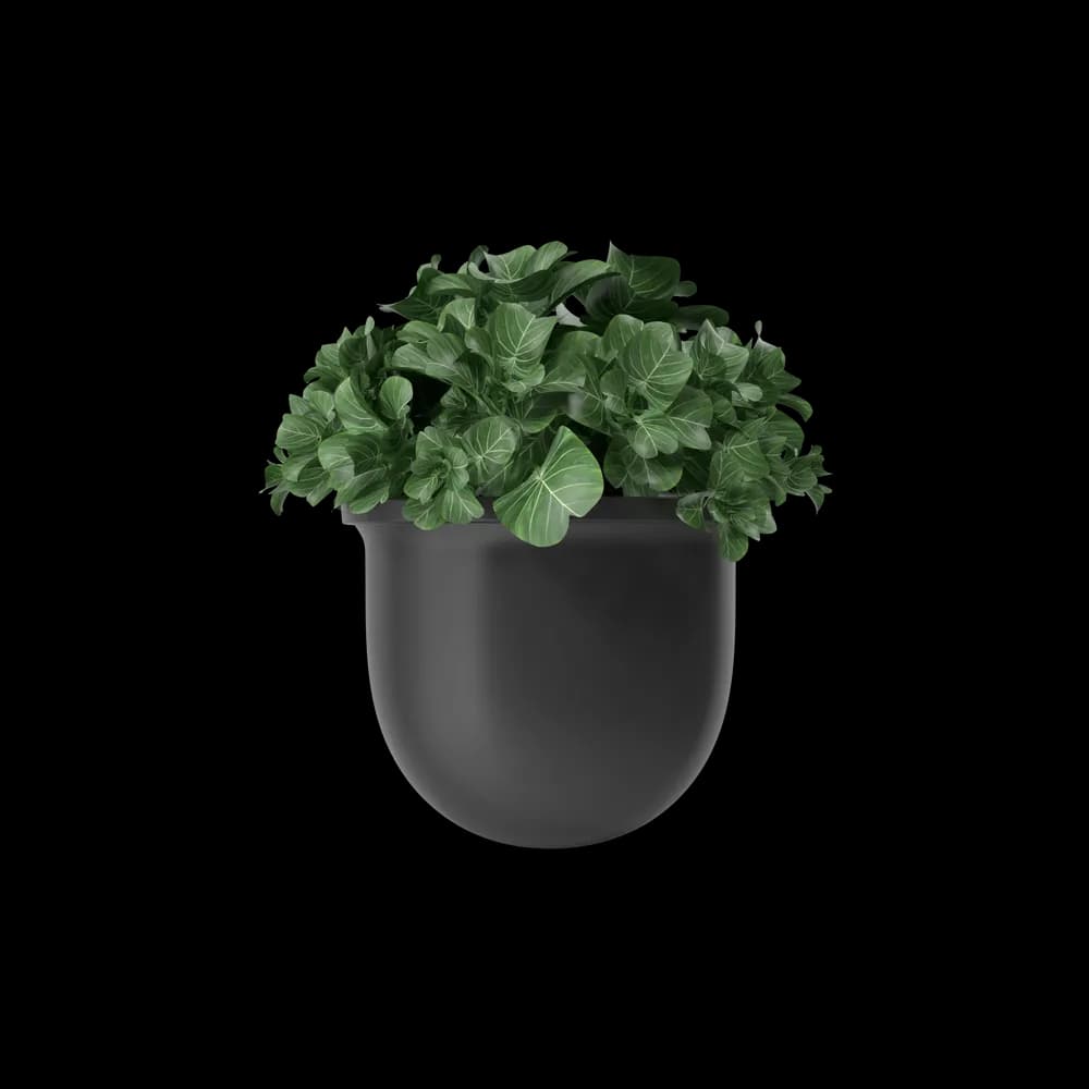 Plant Pot image 2