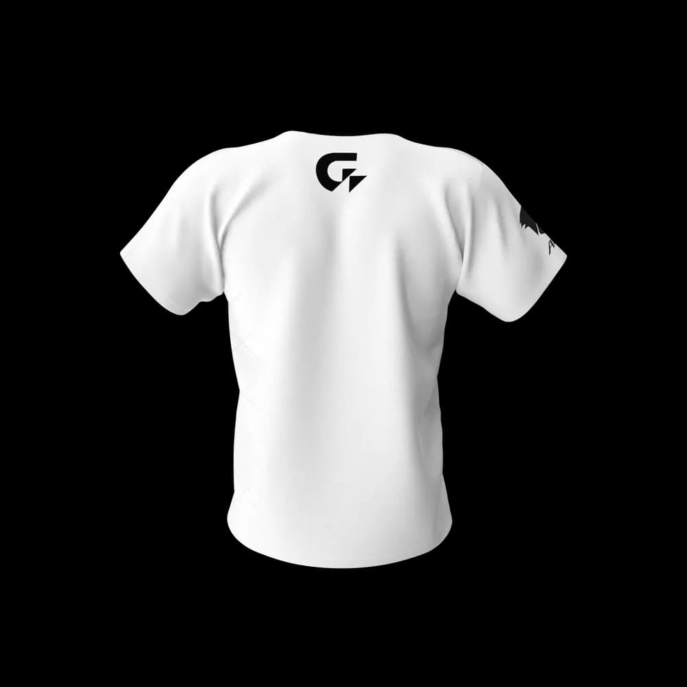 Gigabyte Aorus Men Tshirt image 3